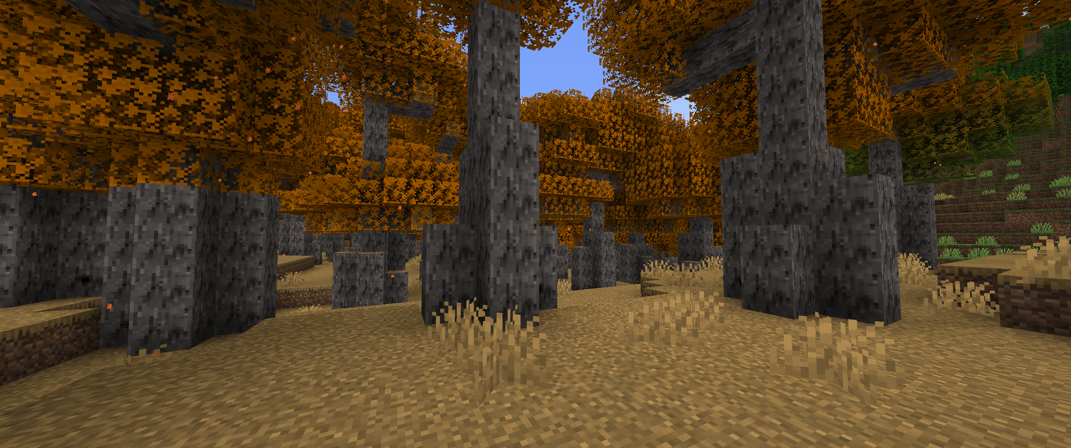 New Maple forest. Maple forests.